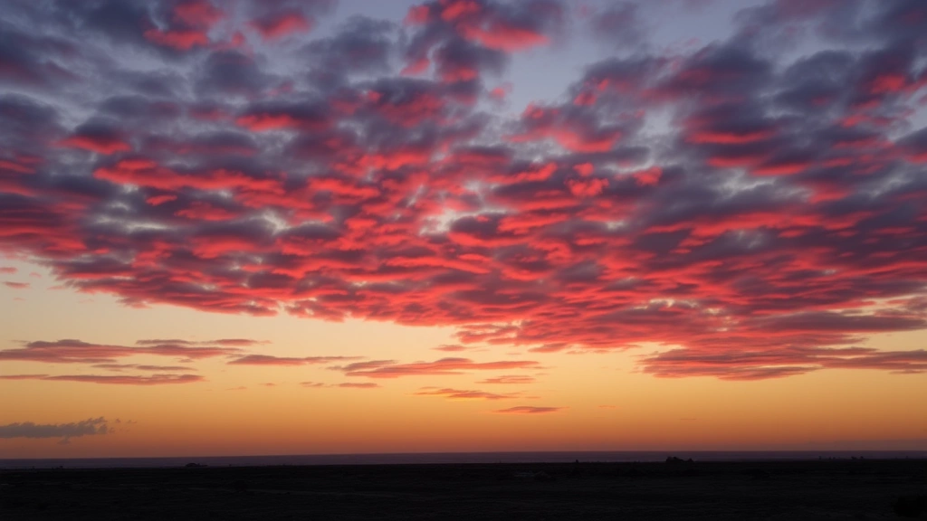 can I talk to a vet about cat shaking online pet photo 5