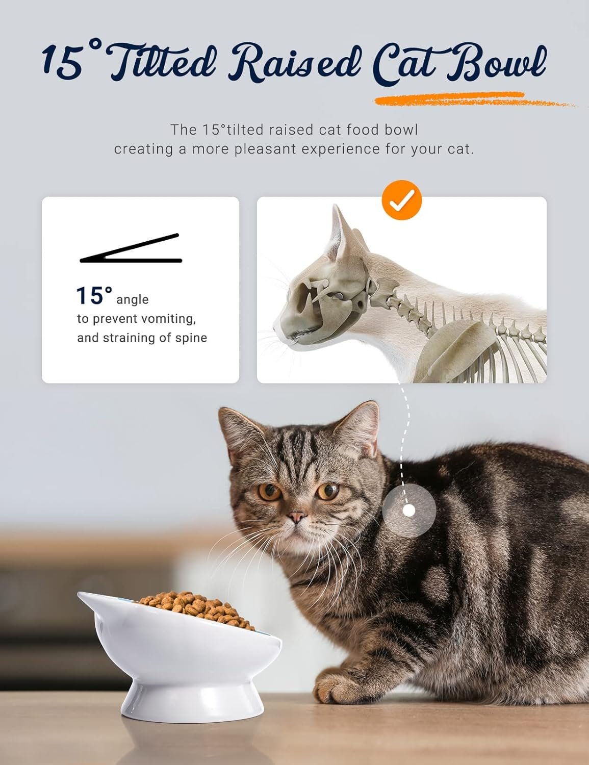 AISBUGUR Ceramic Cat Bowls Set of 2, Elevated 15 Tilted ...