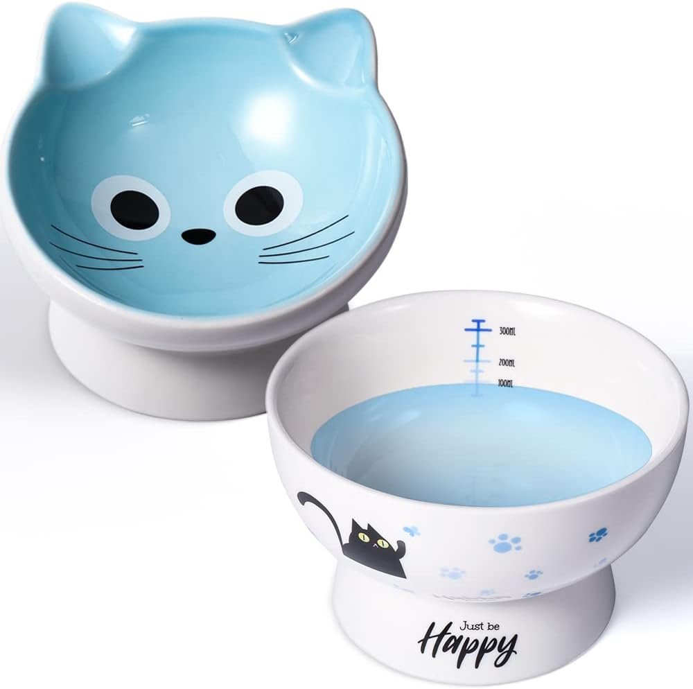 AISBUGUR Ceramic Cat Bowls Set of 2, Elevated 15 Tilted ... product review