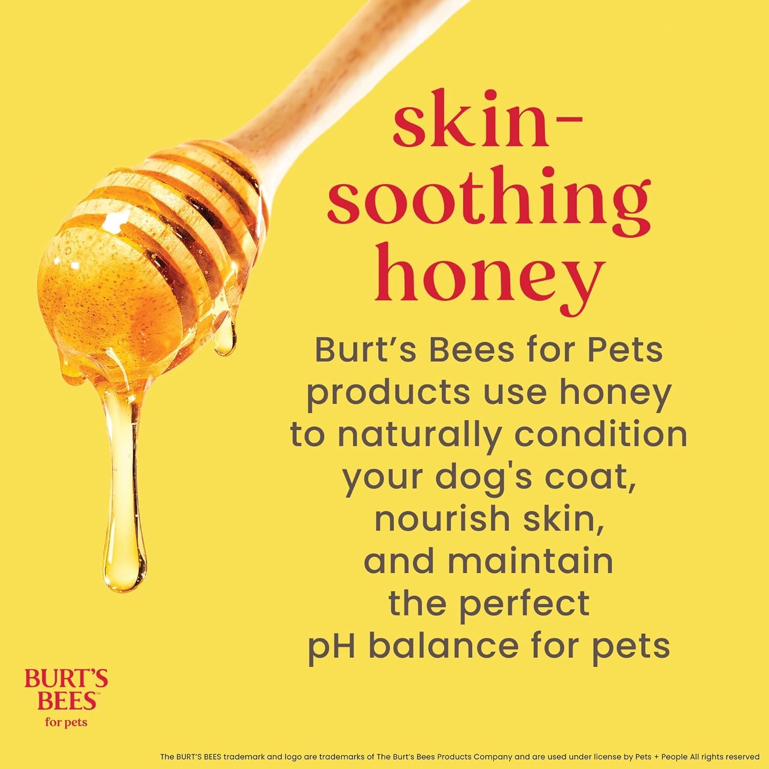 Burt's Bees for Pets Paw and Nose Lotion with Rosemary ...