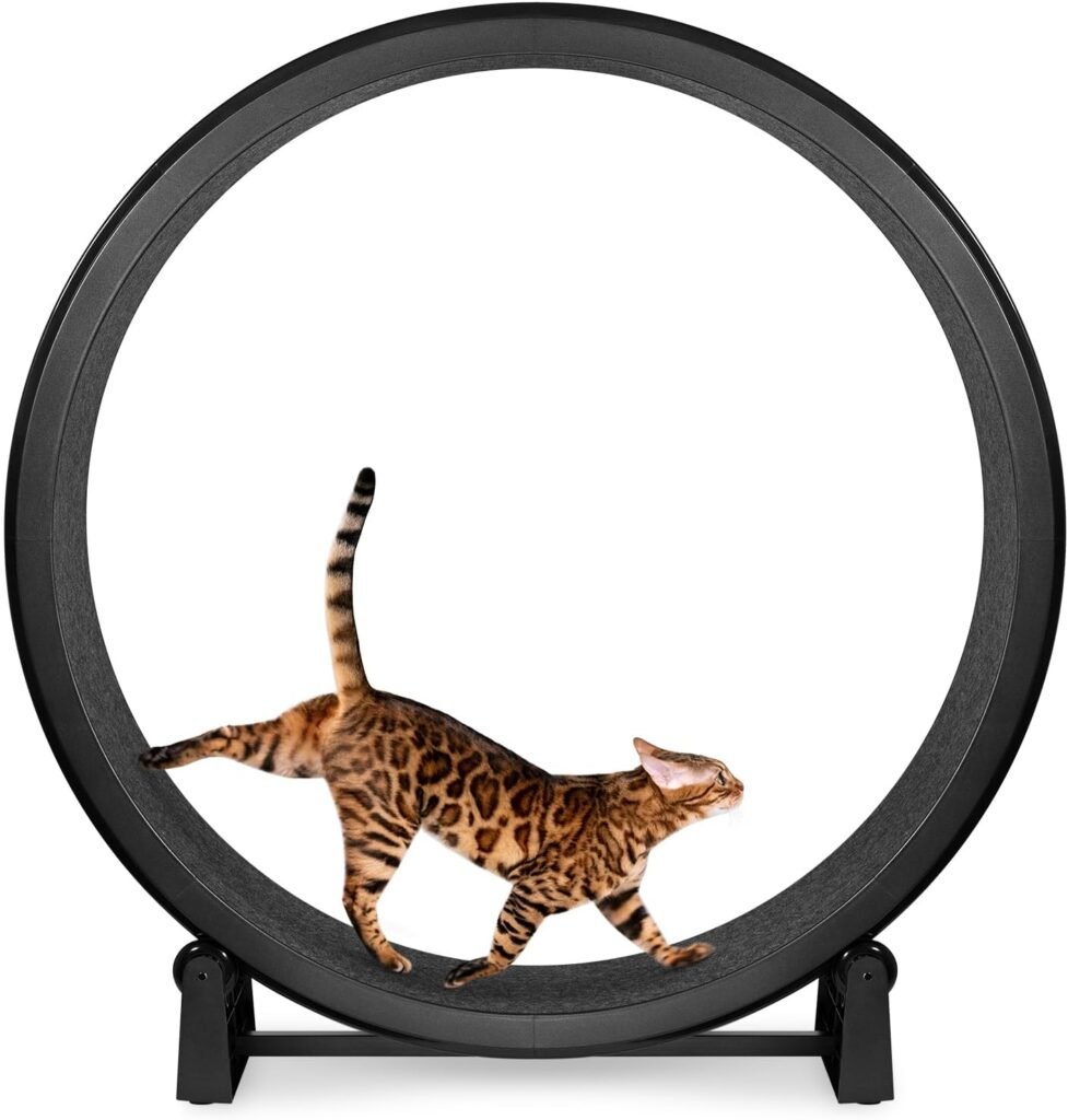 Cat Exercise Wheel - Gen. 7 - Safe 48 Diameter - Made in The ... product review photo