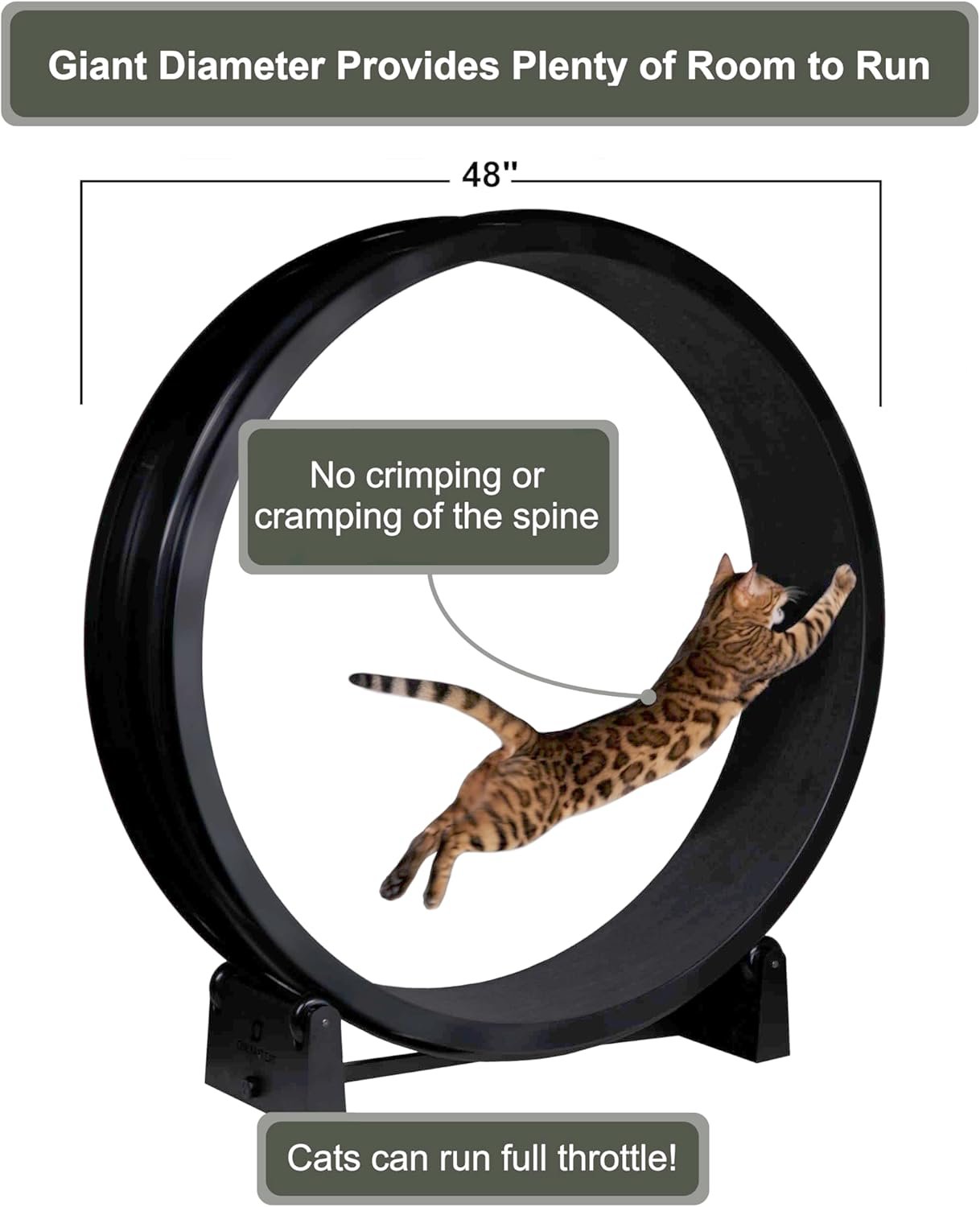Cat Exercise Wheel - Gen. 7 - Safe 48 Diameter - Made in The ...