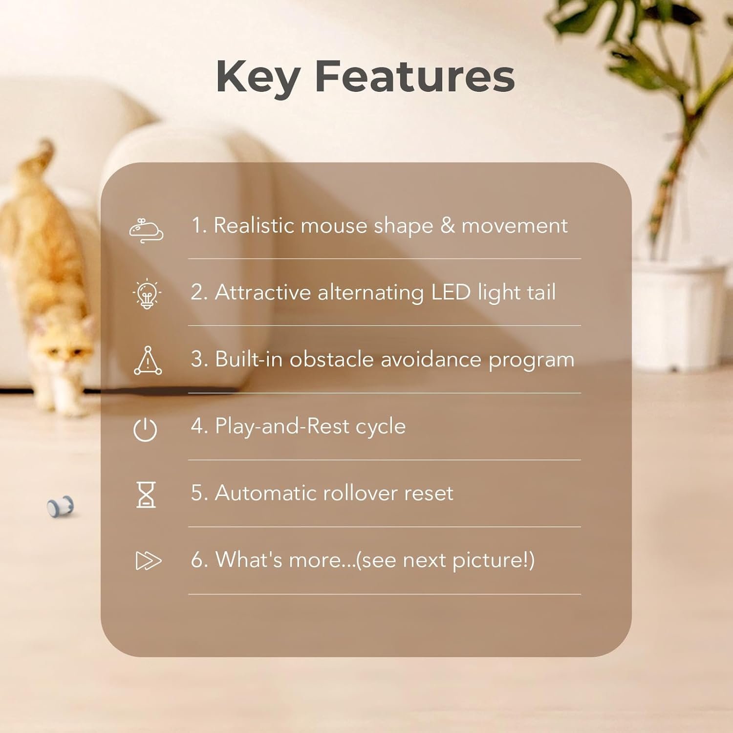 Cheerble Interactive Cat Toys for Indoor Cats Review: Worth the Hype in ...