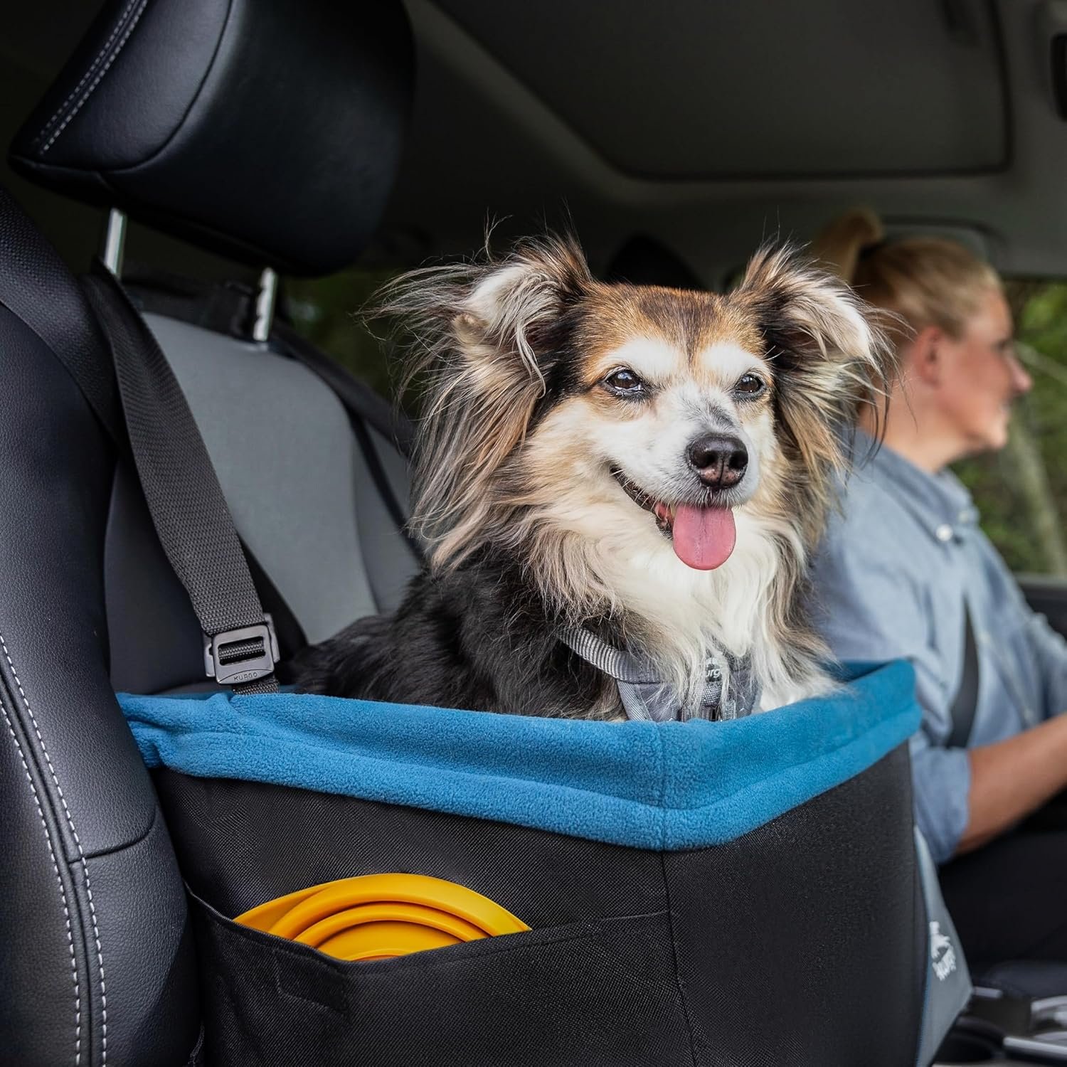 Kurgo Dog Booster Seat - Keeps Dogs Secure & Comfortable