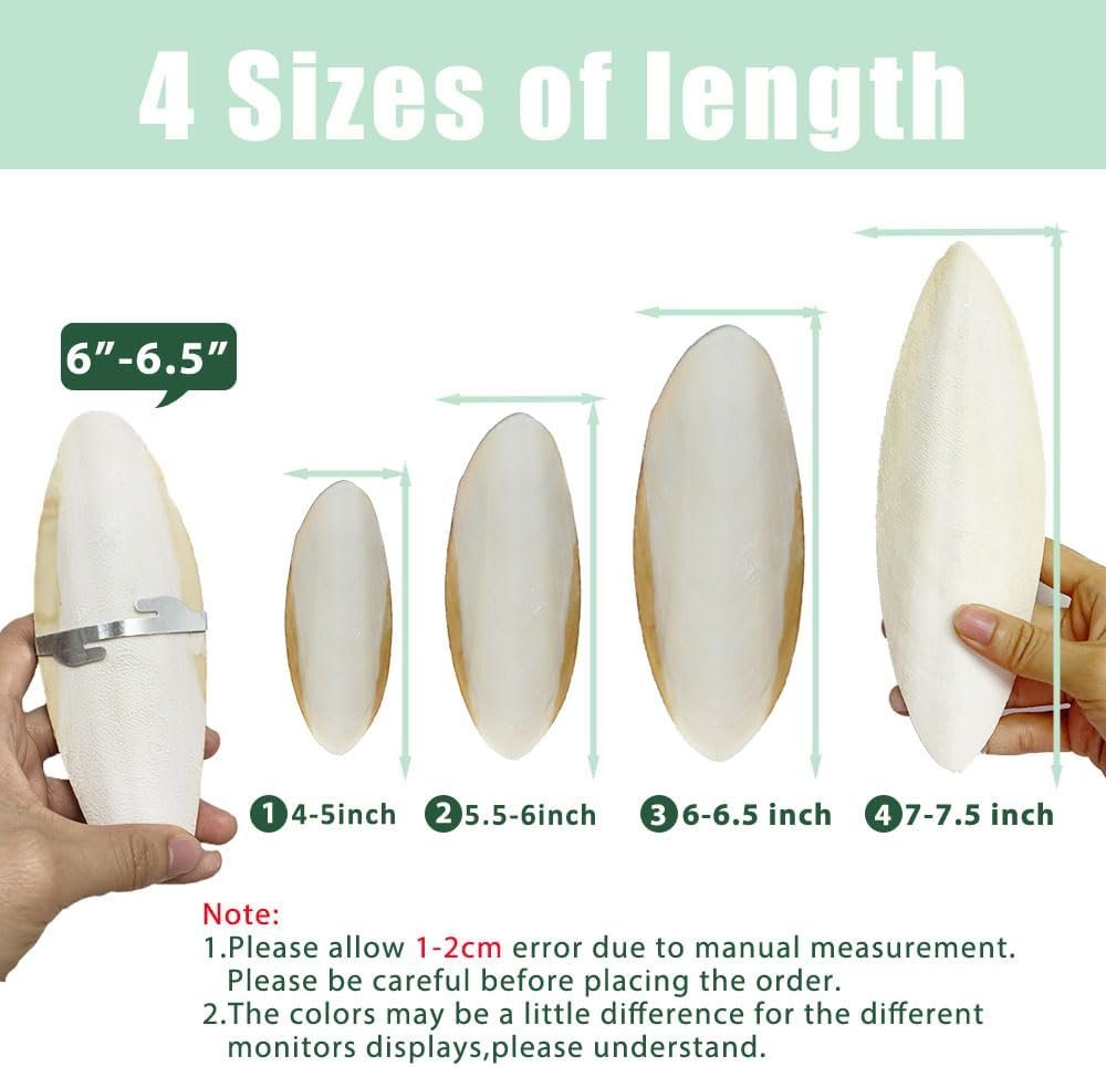 Natural Cuttlebone for Birds Parakeets Canaries Cockatiels ...