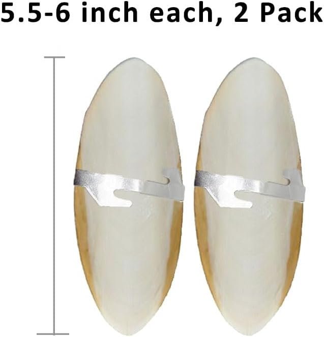 Natural Cuttlebone for Birds Parakeets Canaries Cockatiels ...