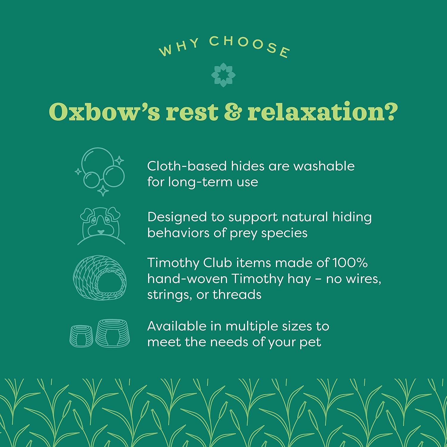 Oxbow Timothy Hay Tunnel, Guinea Pig Hideout, Rabbit & ...