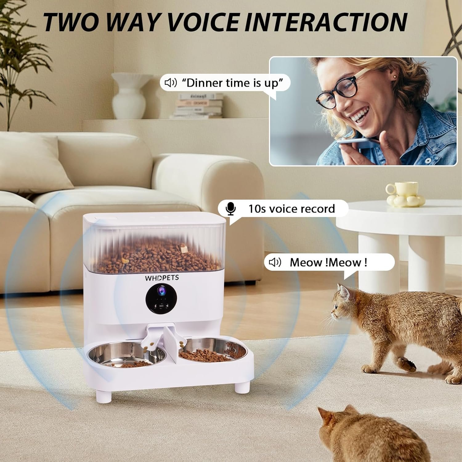 Pet Supplies : Automatic Cat Feeders, WHDPETS 5G WiFi ...
