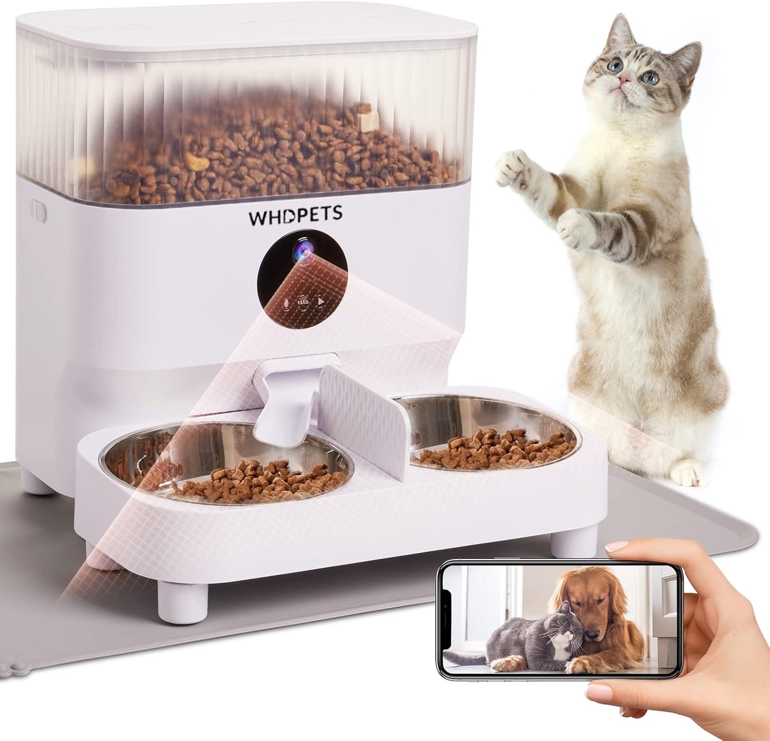 Pet Supplies : Automatic Cat Feeders, WHDPETS 5G WiFi ... product review