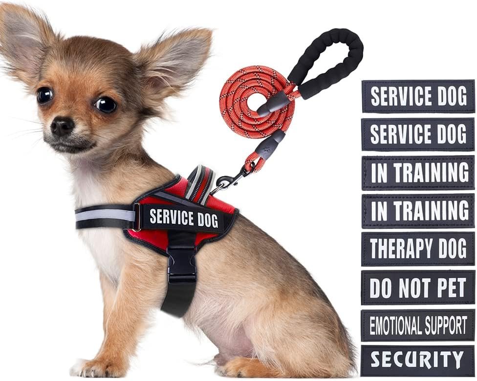 Service Dog Vest Harness and Leash Set, Animire in Training ... product review