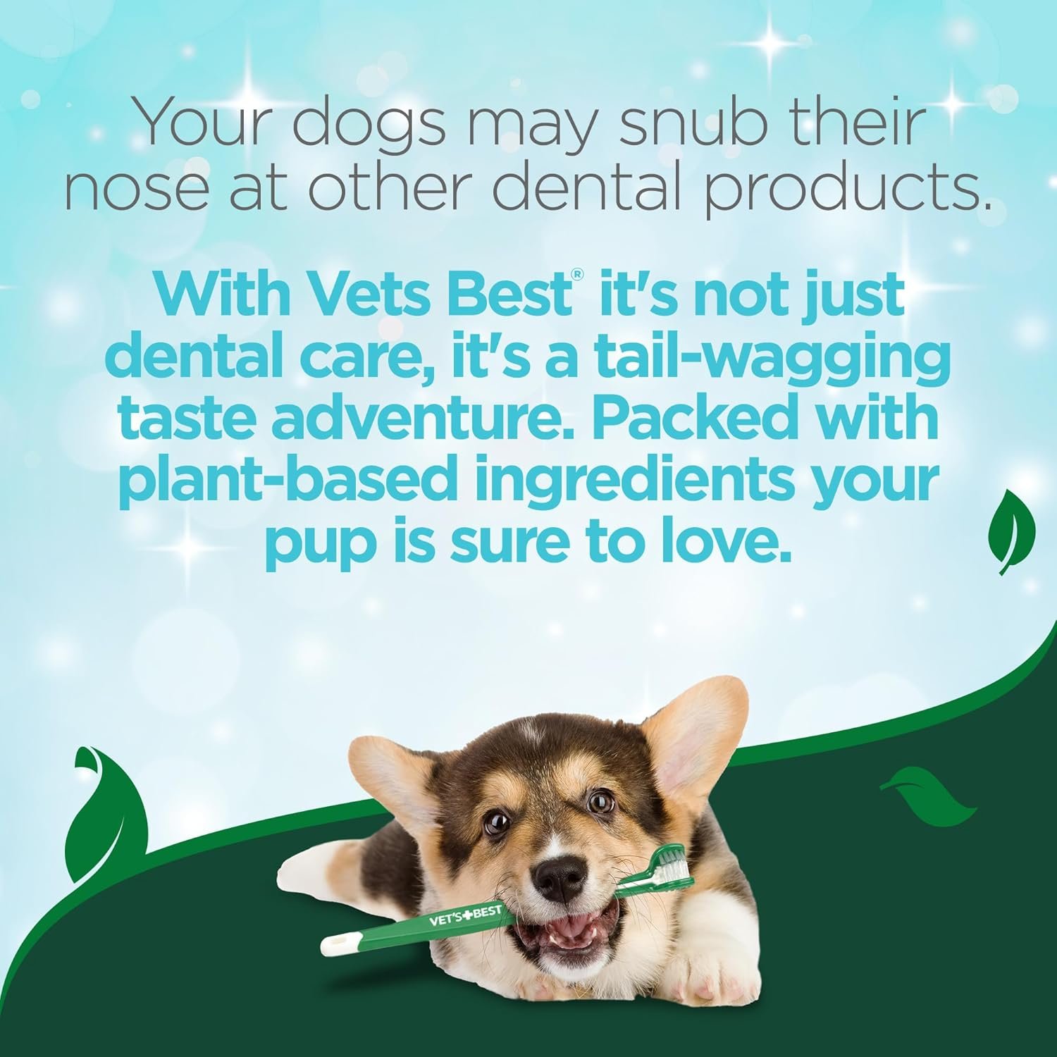 Vet's Best Dog Toothbrush - Easy Teeth Cleaning ...